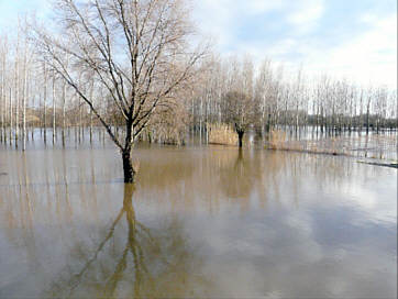 inondations030209