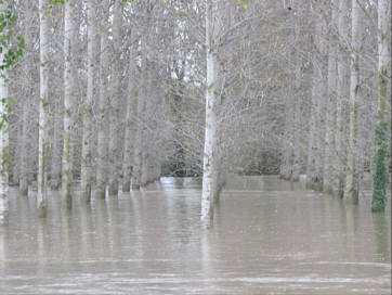 inondations041111