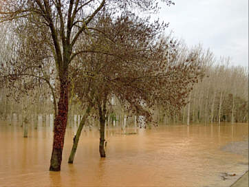 inondations291114